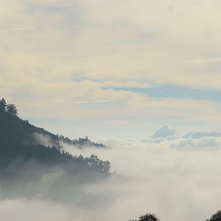 Hide Away Cottages Ooty Esterno foto